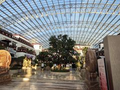 -拉萨圣地天堂洲际大饭店-自助餐厅