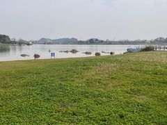 -云漫湖生态度假公园