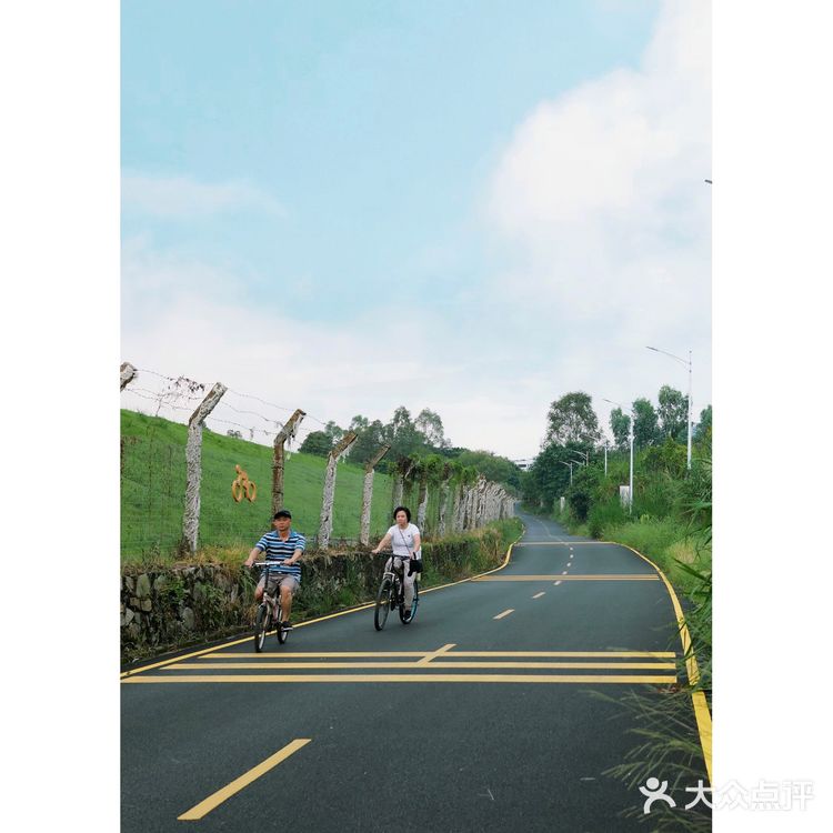 马峦北路.深圳又一条小众的日系片公路！