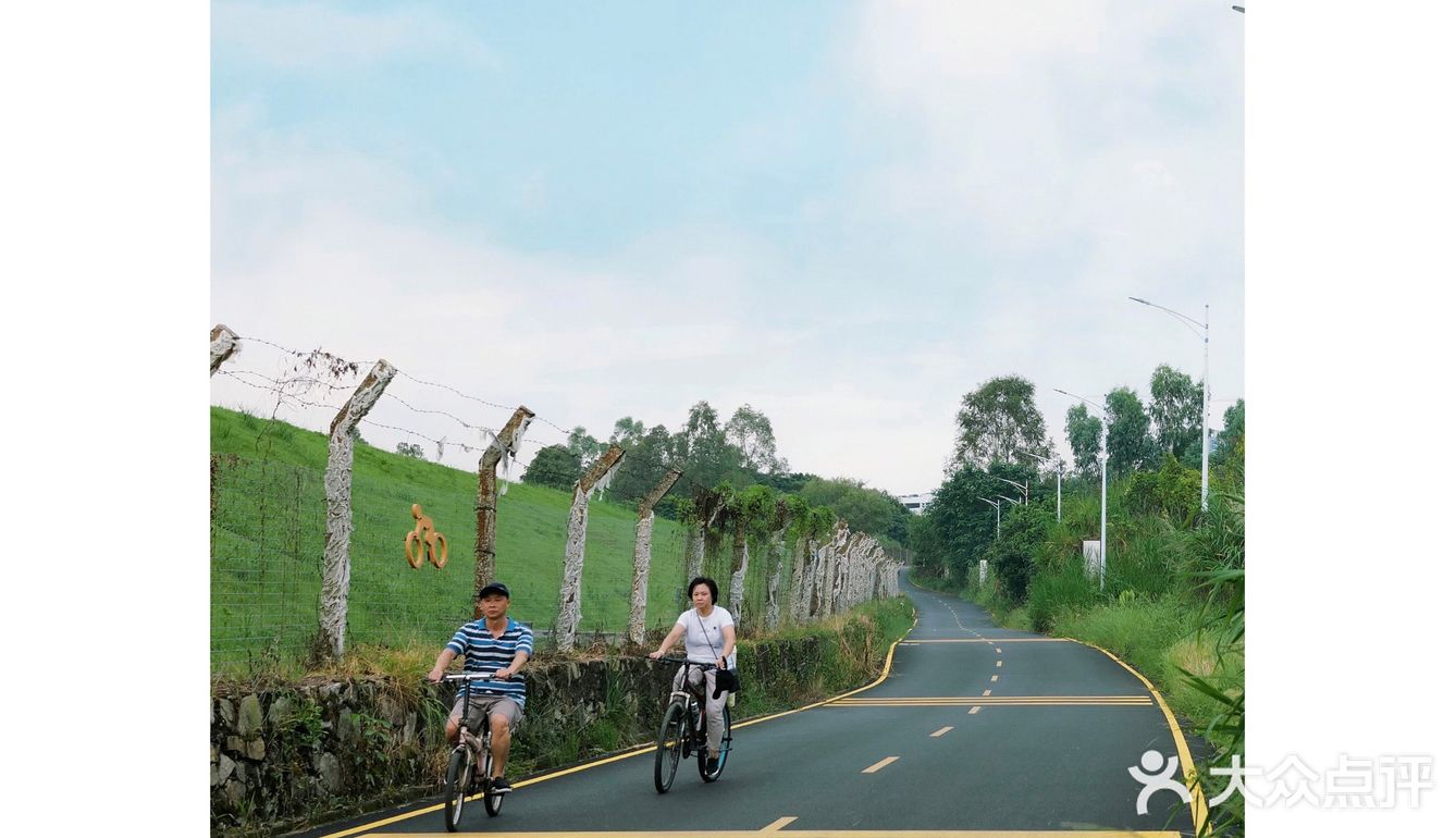 马峦北路.深圳又一条小众的日系片公路！