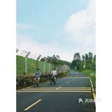 马峦北路.深圳又一条小众的日系片公路！