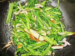 -阿巧茶庄