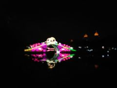 -映月湖公园