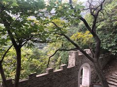 -北京鹫峰国家森林公园
