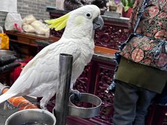 -四海楼(如皋定慧禅寺店)
