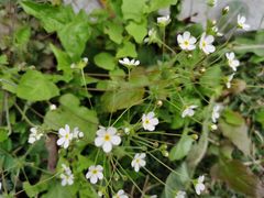 -仙海旅游度假区