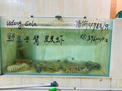 -海盗餐厅