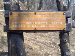 -牛背梁国家森林公园