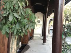 -印象江南(东栅店)