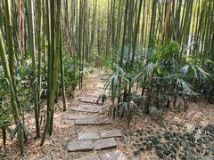 -凤城河风景区