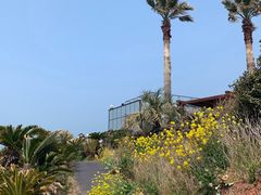 -Cafe Aewol Monsant