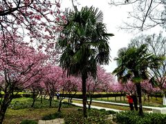 -白塘生态植物园