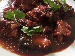 -得心斋(文华北路店)