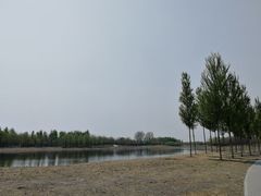 -东郊湿地公园