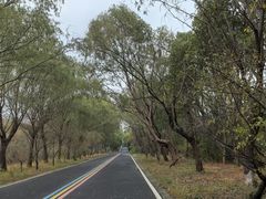 -同里国家湿地公园