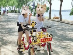 -丁香湖公园