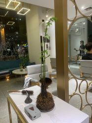 -菲·木田moontin造型salon