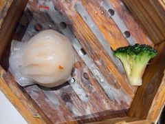 -祥记餐饮•豫粤珍味(郑东新区新长安店)