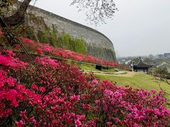 -老门东历史文化街区