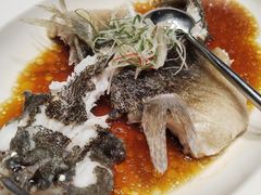 -望乡楼上海菜(日月光店)