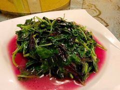 -新聚丰菜馆(太监弄店)