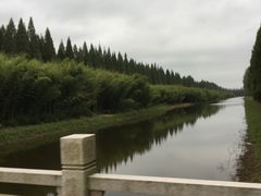 -黄海国家森林公园