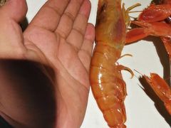 -五月罗马海鲜自助餐厅(陆家嘴店)