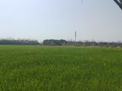 -嘉北郊野公园