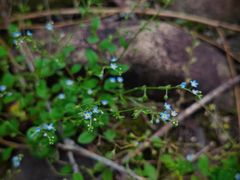 -苏州河梦清园环保主题公园