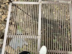 -大奇山国家森林公园