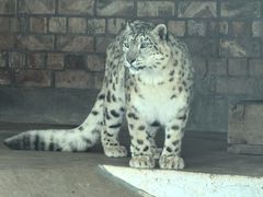 -青藏高原野生动物园