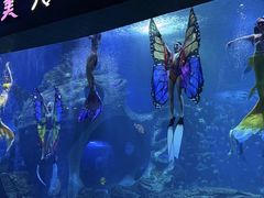 -多彩贵州城极地海洋世界