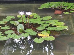 -广州永庆坊瞻云精选酒店