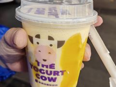 -一只酸奶牛(八一路店)