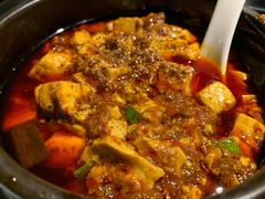-陈麻婆豆腐总店