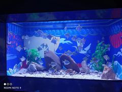 -烟台海昌鲸鲨海洋公园