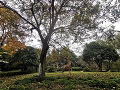 -日出青木·杭帮菜名店