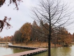 -宁波杭州湾国家湿地公园