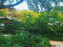 -常寂光寺