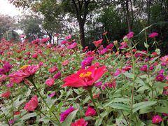 -艾溪湖湿地公园