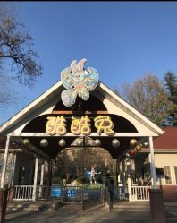 -酷酷兔少儿拓展天地