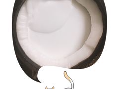 -椰爺爺·椰子冻砵仔糕