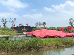 -泗洪洪泽湖湿地景区