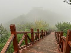 -大岭沟猕猴桃谷风景区