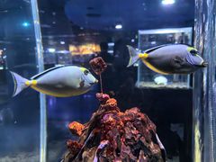 -海合安天津极地海洋公园