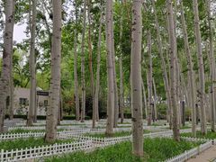 -仁和公园(顺义区)