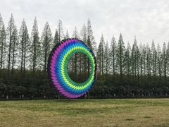 -黄海国家森林公园