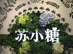 -苏小糖(鼓浪屿三丘田花园店)