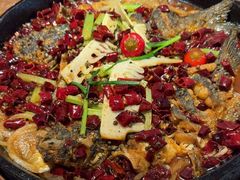 -老板恋上鱼(恒隆广场店)