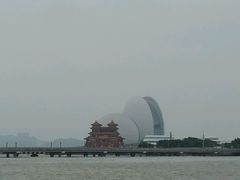 -野狸岛